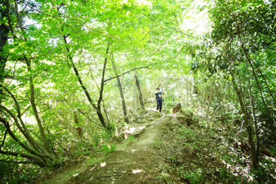 iwadonosan2017-6-10.jpg