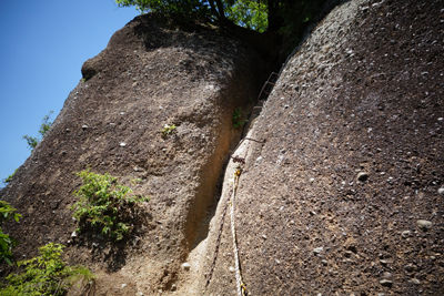 iwadonosan2017-6-11.jpg