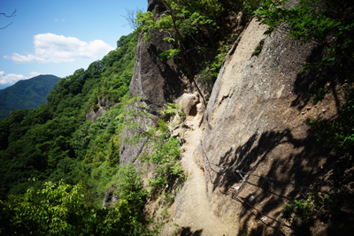 iwadonosan2017-6-12.jpg