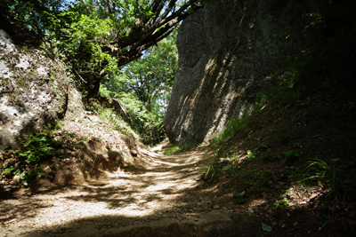 iwadonosan2017-6-6.jpg