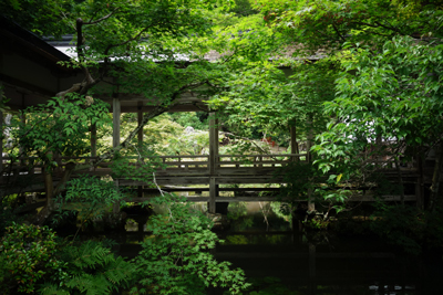 kyoto2017-7-15.jpg