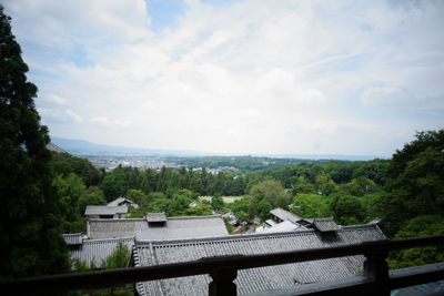 nara2017-7-11.jpg