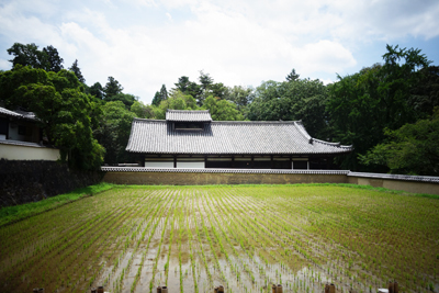 nara2017-7-12.jpg