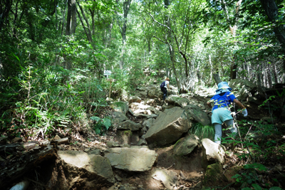 sada-yama2018-8-12.jpg