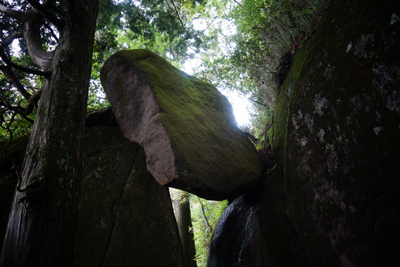 sada-yama2019-6-14.jpg