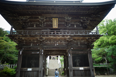 sada-yama2019-6-2.jpg