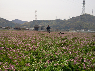 takagi2013-04-15-13-31-17.jpg